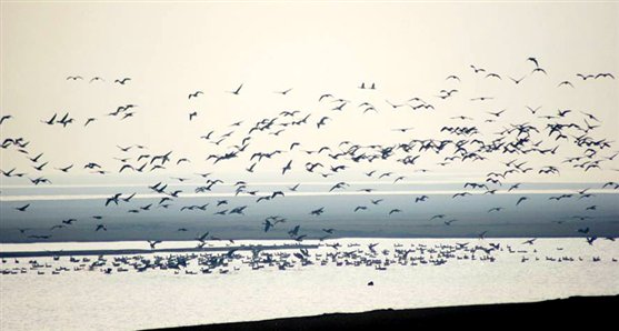 C:UsersAdministratorDesktop	img.jpg